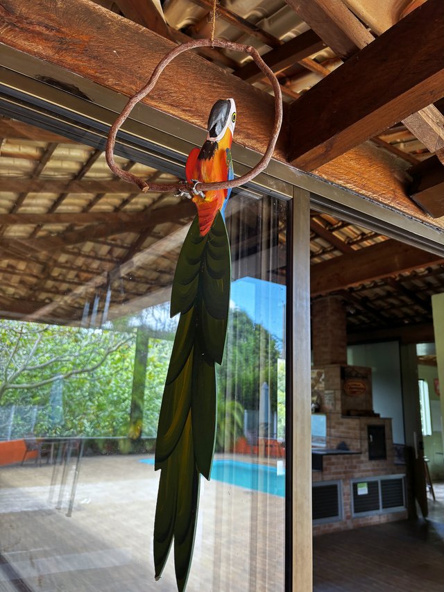 Exterior — Caminho ladrilhado com vegetação tropical