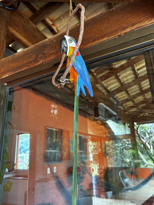 Exterior — Varanda com escultura de arara colorida sobre o vidro
