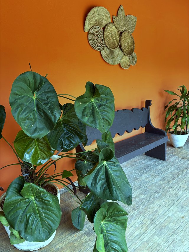Exterior — Pergolado com flores em meio ao jardim