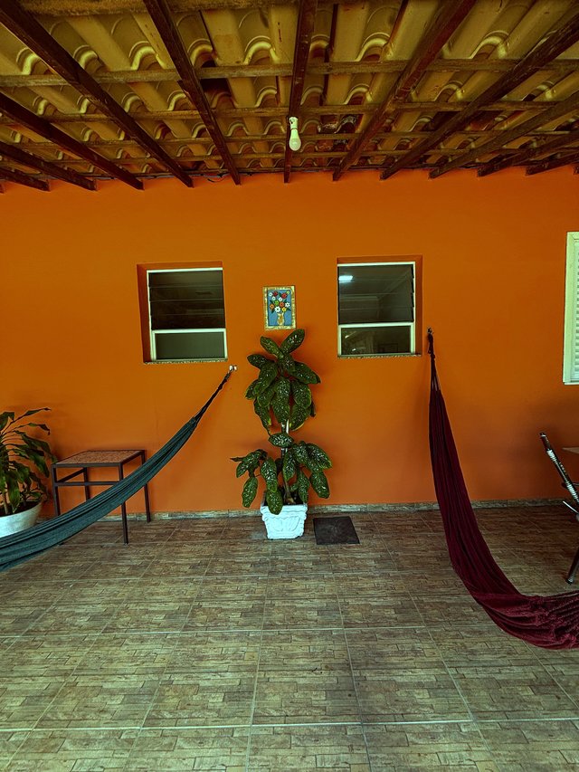 Exterior — Área coberta com paredes coloridas e vegetação