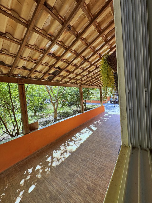 Exterior — Jardim em dia ensolarado com canteiros bem cuidados