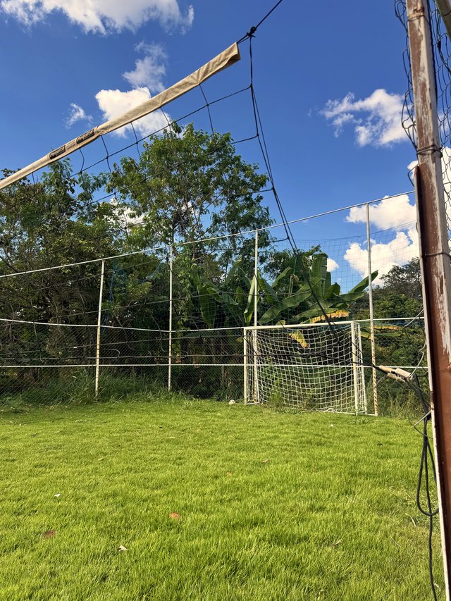 Exterior — Vista do jardim com pomar ao fundo