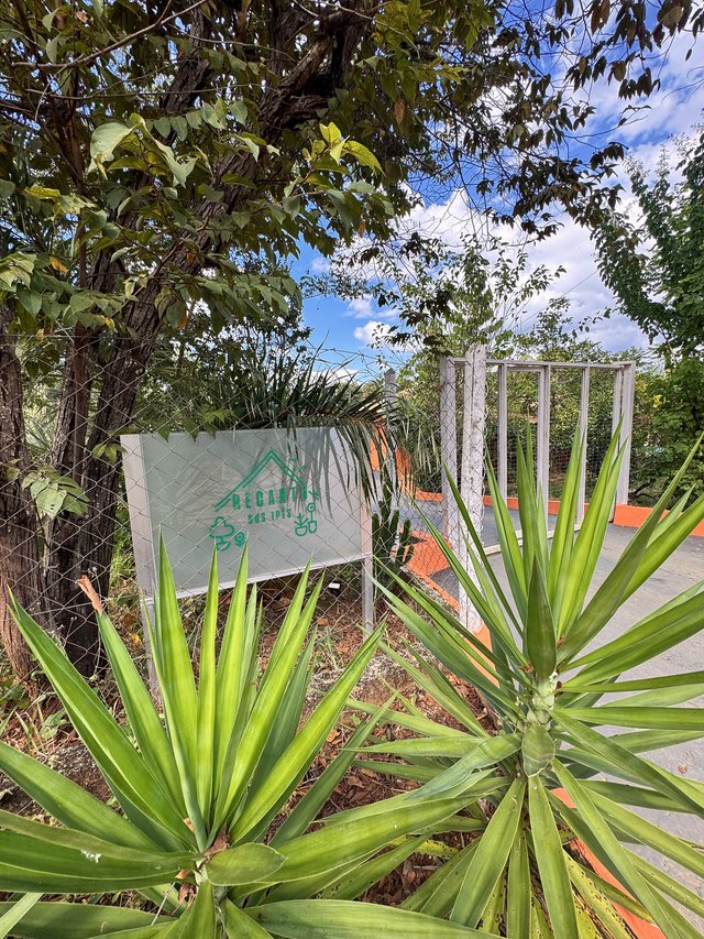 Exterior — Área gramada com árvores e céu aberto