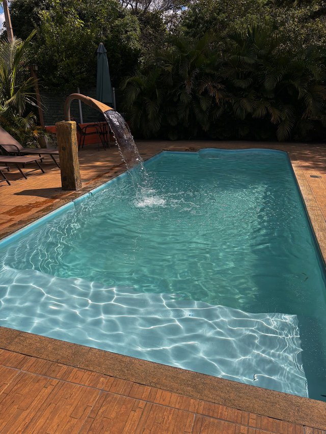Piscina do Sítio com cascata e palmeiras