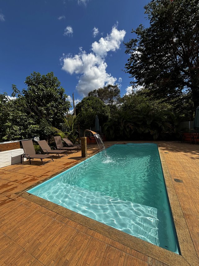 Piscina — Tarde de descanso ao sol, com deck em madeira e palmeiras