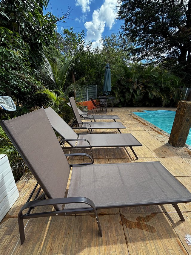 Piscina — Vista da cascata com vegetação tropical ao fundo