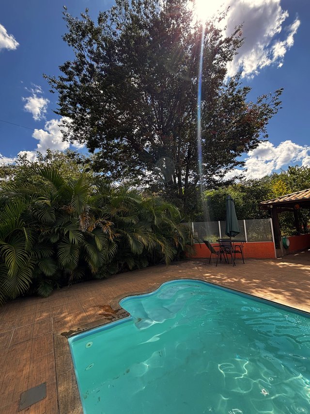 Piscina — Espreguiçadeiras alinhadas sob o sol