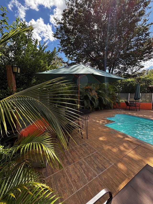 Piscina — Deck com vegetação tropical