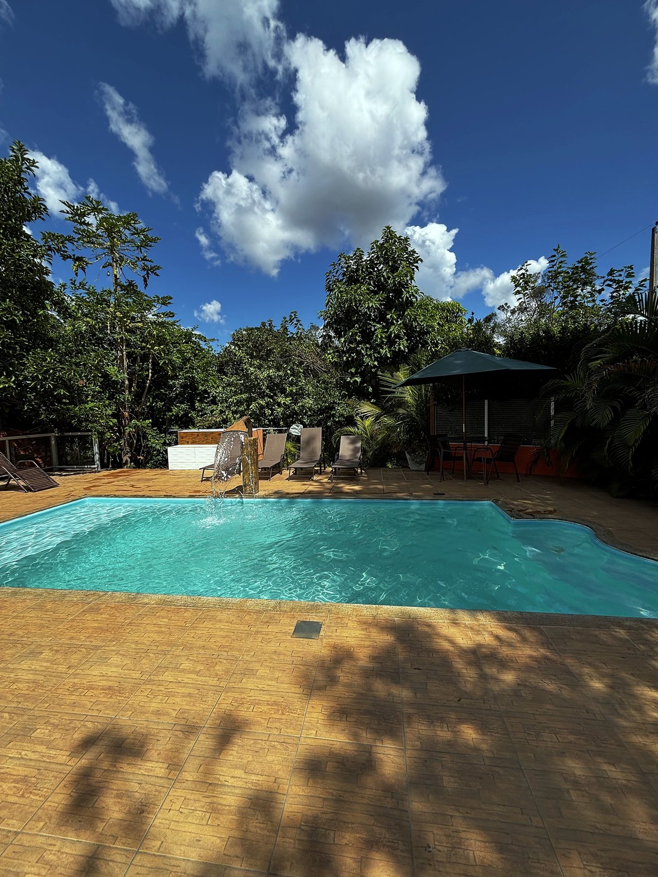 Piscina do Sítio cercada de árvores, com espreguiçadeiras ao fundo