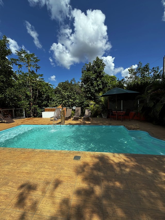 Piscina — Área de descanso com palmeiras e céu azul