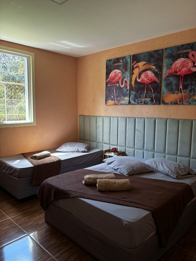 Quarto Flamingo — Espaço aberto, com janela ao fundo