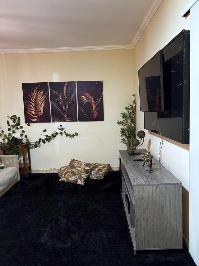 Sala de Estar — Vista da TV sobre rack com plantas decorativas