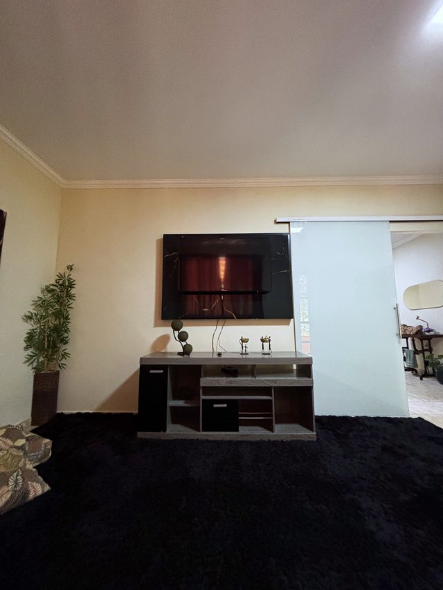 Sala de Estar — Vista do quadros de folhagens com luz natural